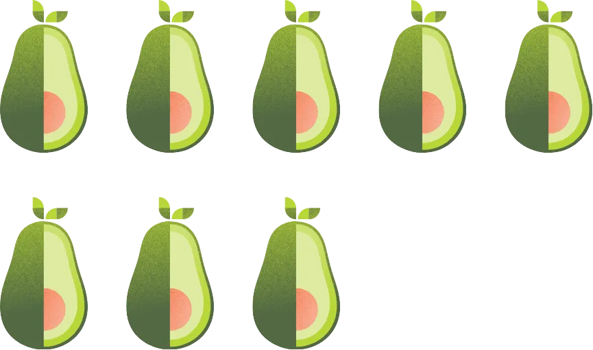 Franz Schmitt Schullieferung Avocados Illustration